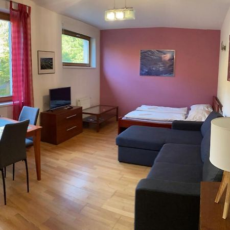 Studio Apartment Michael Špindlerŭv Mlýn Ngoại thất bức ảnh