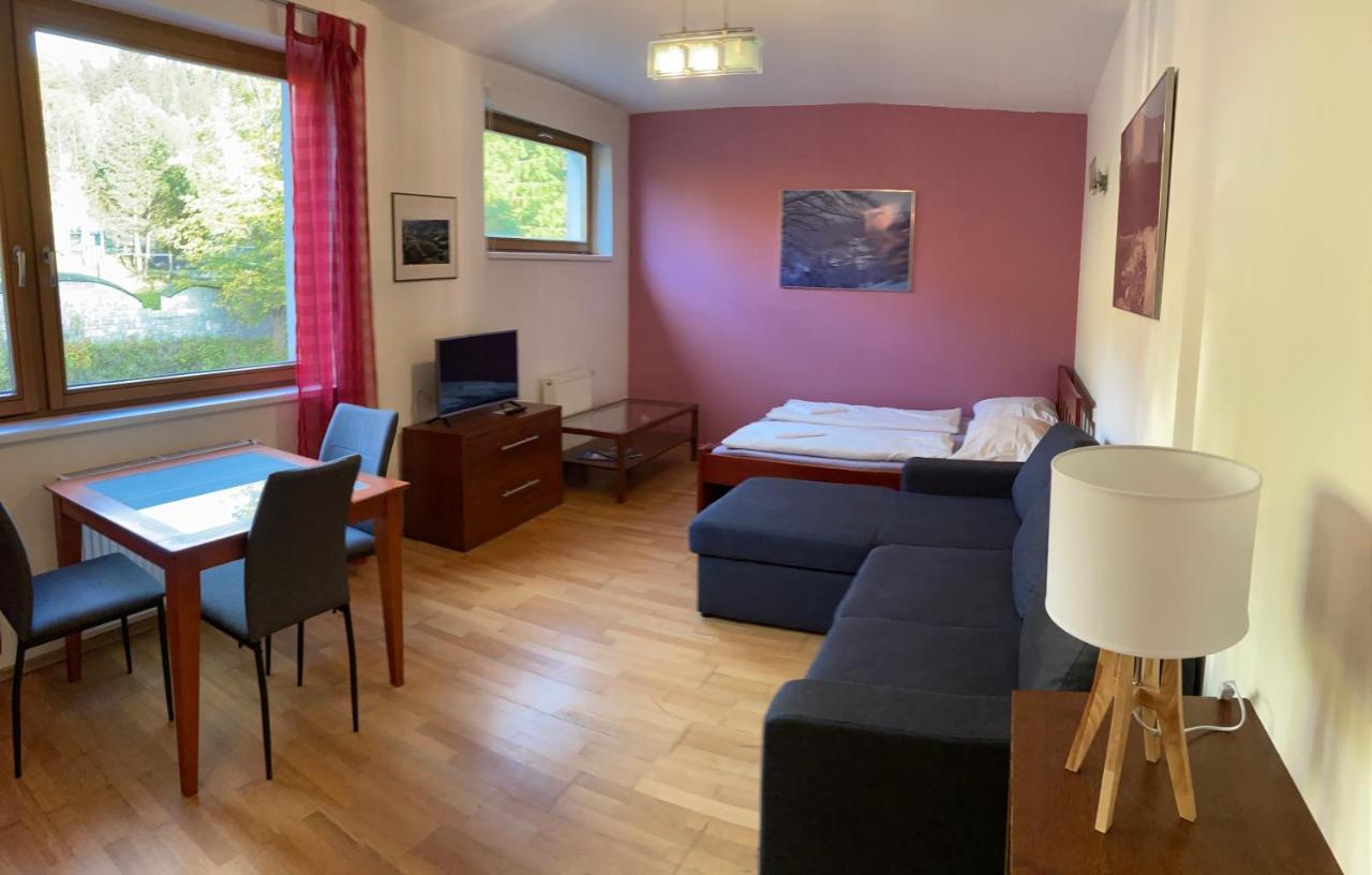 Studio Apartment Michael Špindlerŭv Mlýn Ngoại thất bức ảnh